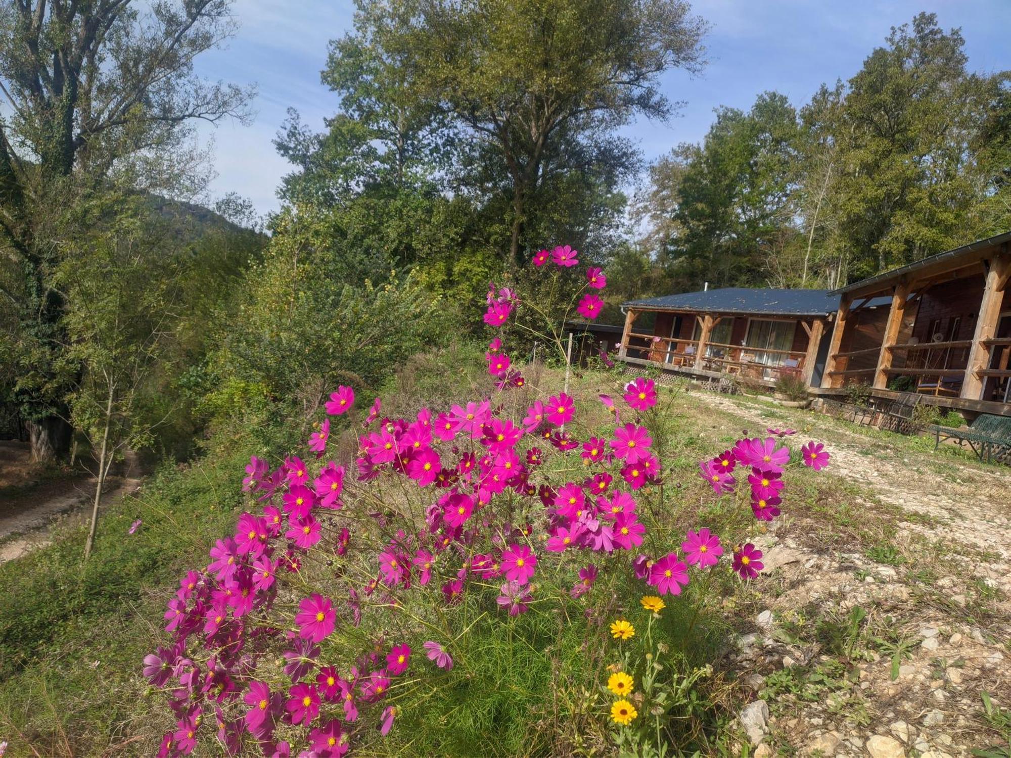 Source Nature Mas-d'Azil Cameră foto
